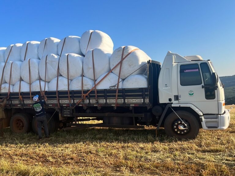 08F48ACB-DF50-4E17-8FED-3A2F676E46AC