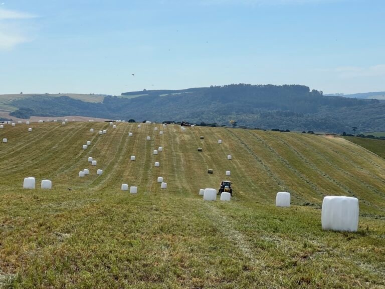 1D1FCCD8-1096-4D6C-8759-78D5D220FD0E