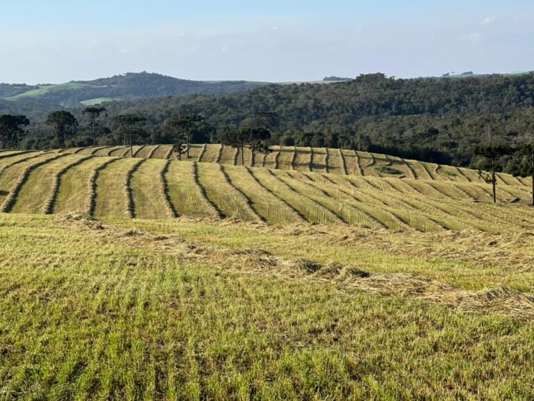 20220728_200532000_iOS