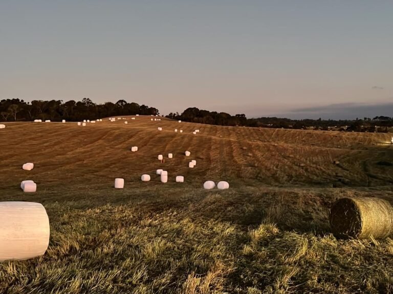 20220822_213241000_iOS