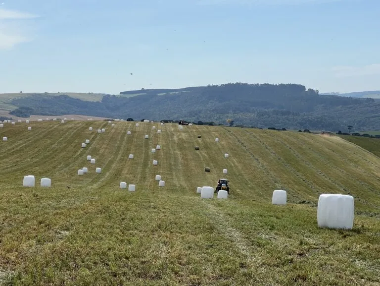 1D1FCCD8-1096-4D6C-8759-78D5D220FD0E