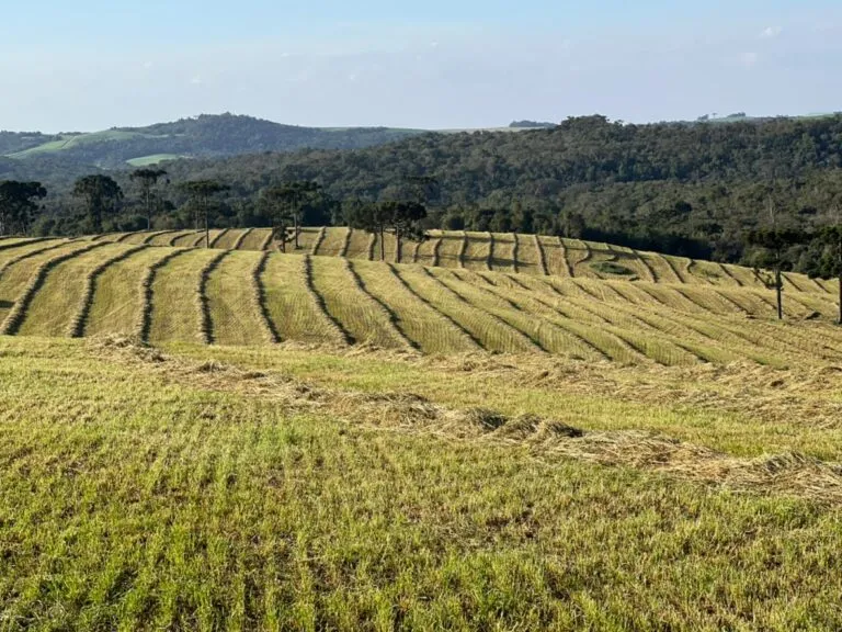 20220728_200532000_iOS