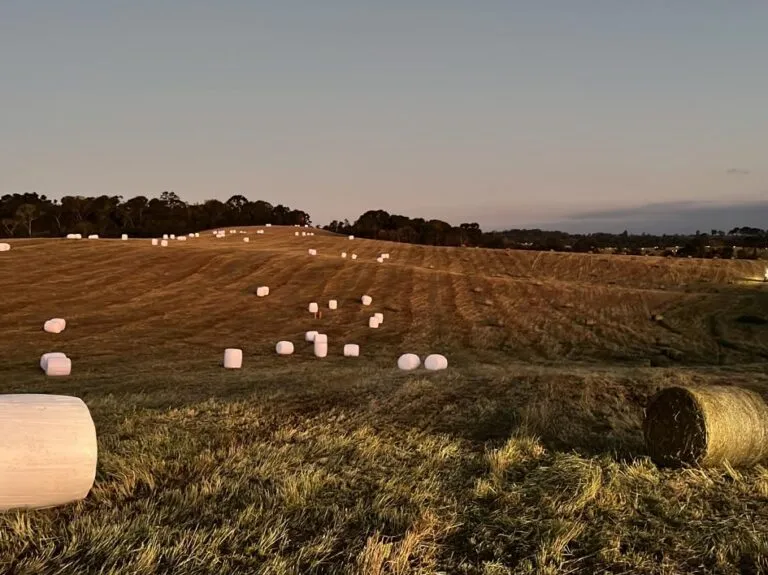 20220822_213241000_iOS